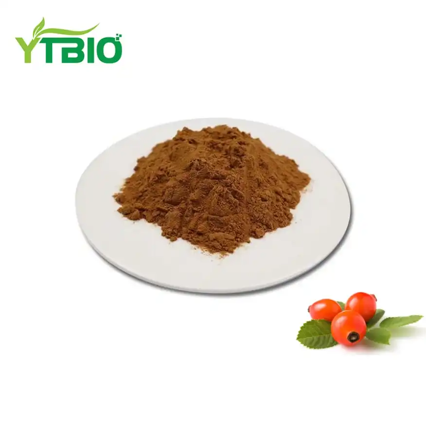 rose hip extract powder